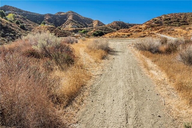 1 Warmuth Cyn, Country, CA 91387 - photo 7