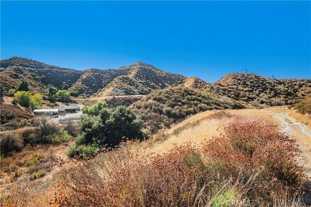 1 Warmuth Cyn, Country, CA 91387 - photo 23