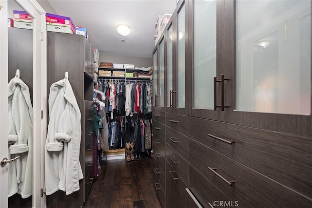 spacious closet with dark wood-type flooring