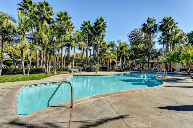 view of swimming pool featuring a patio area