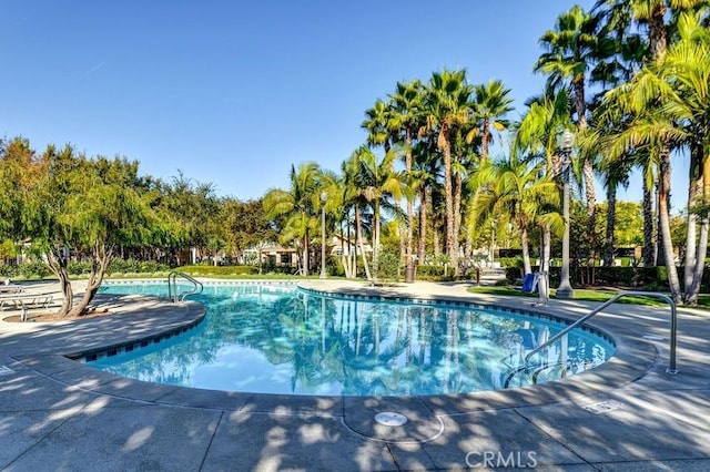 view of swimming pool