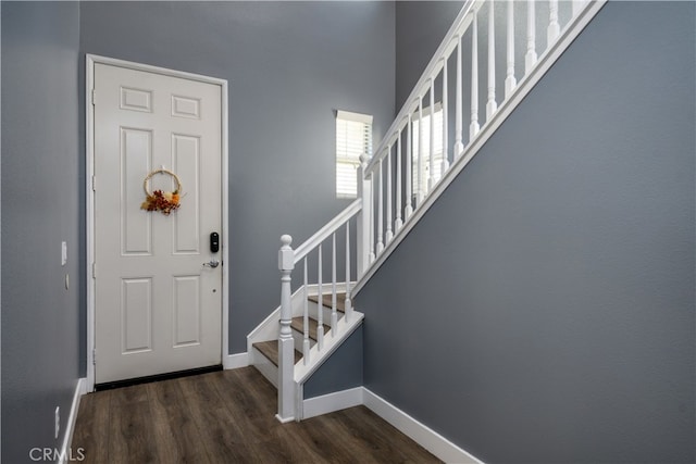 foyer entrance featuring dark hardwood / wood-style flooring