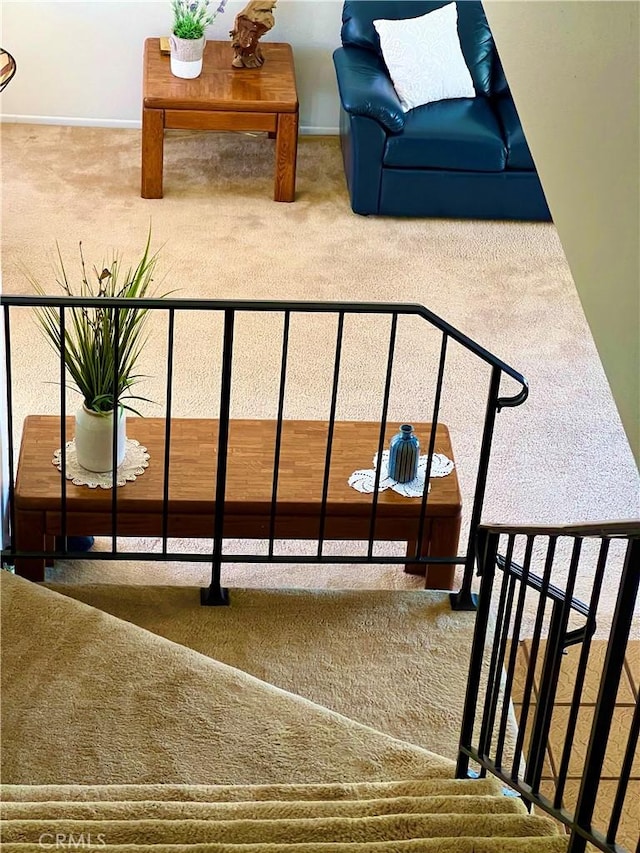 stairway featuring carpet floors