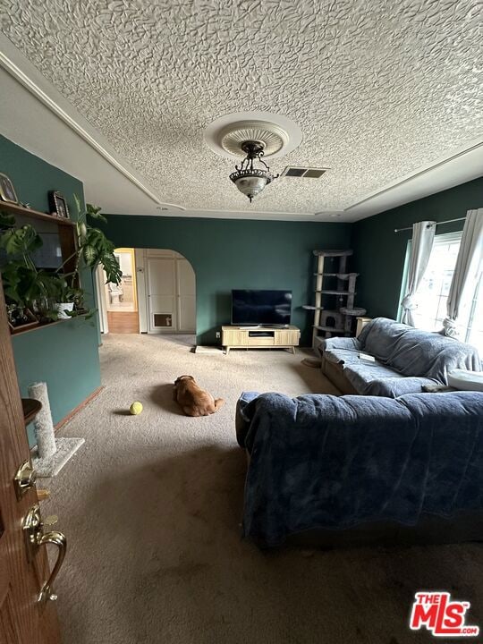 carpeted living room with a textured ceiling