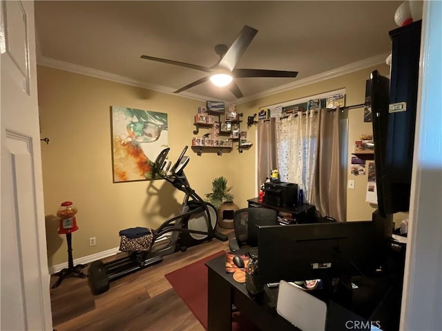 office with ceiling fan, ornamental molding, and hardwood / wood-style flooring