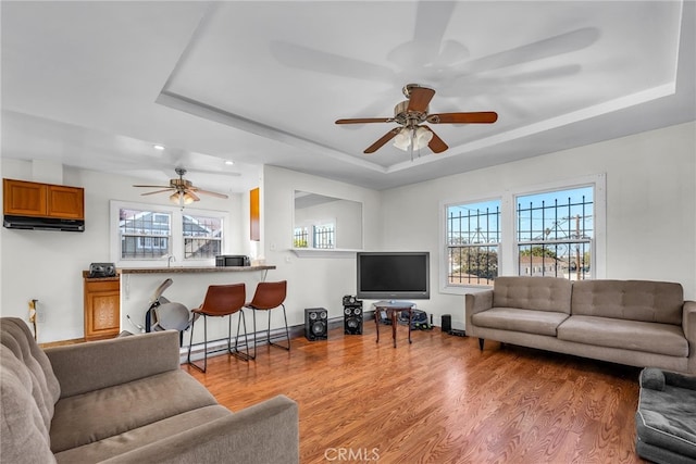 living area featuring a wealth of natural light, a raised ceiling, baseboards, and wood finished floors