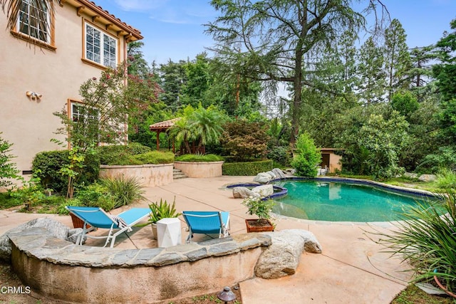 view of pool featuring a patio