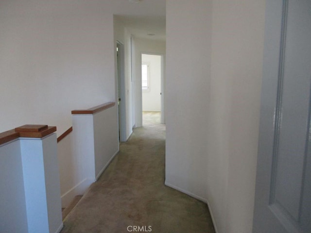 hall featuring light colored carpet