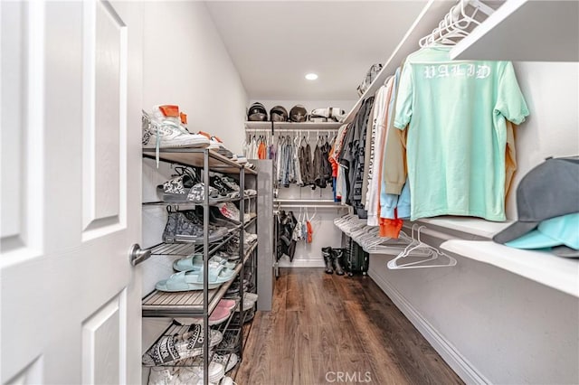 walk in closet with wood-type flooring