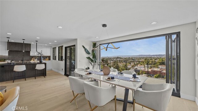 dining room with light wood-type flooring