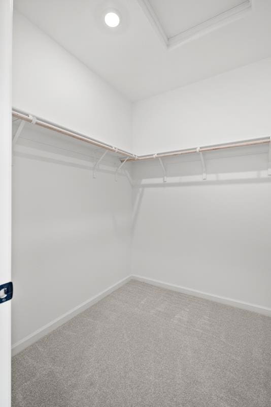 spacious closet with carpet flooring