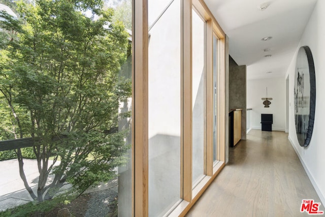 corridor with a healthy amount of sunlight and wood-type flooring