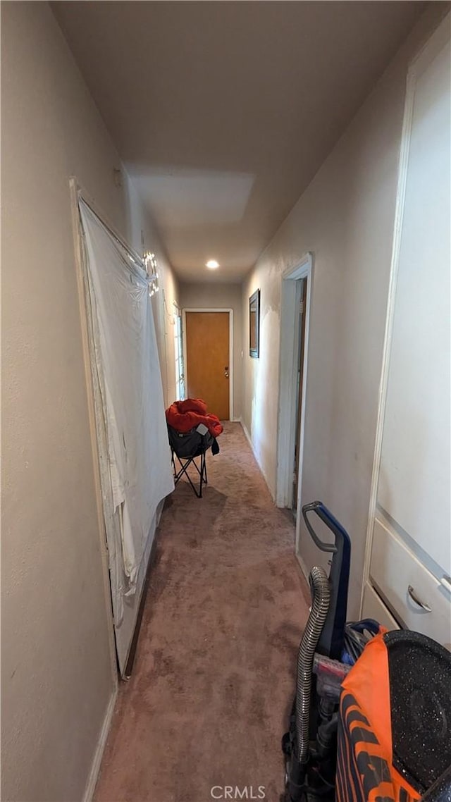 hallway featuring carpet floors