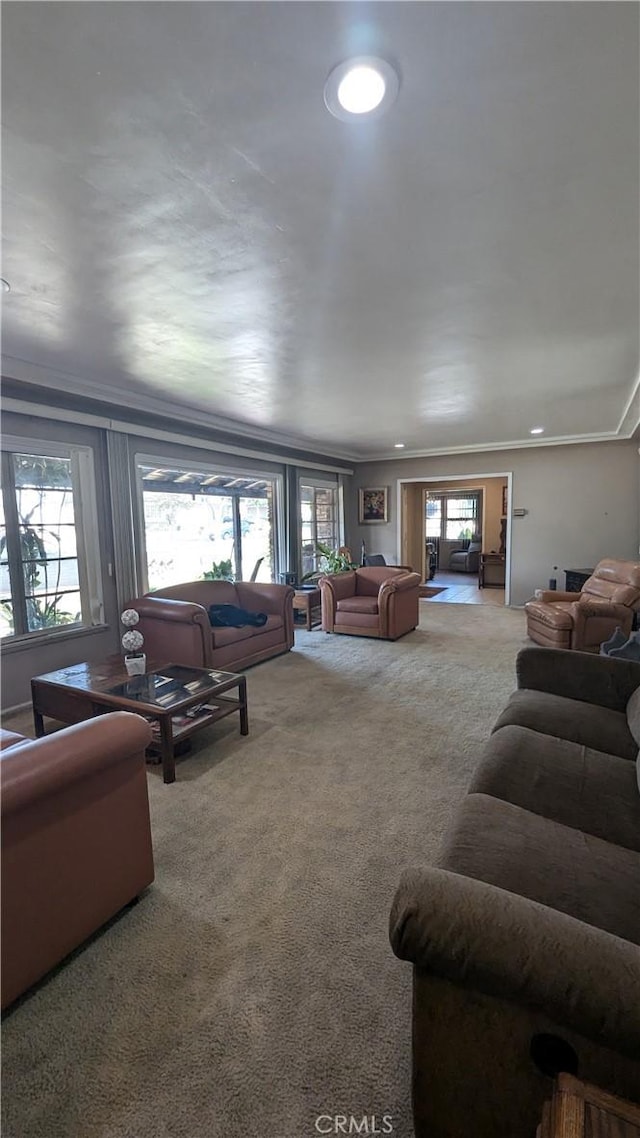 living room featuring carpet flooring and crown molding