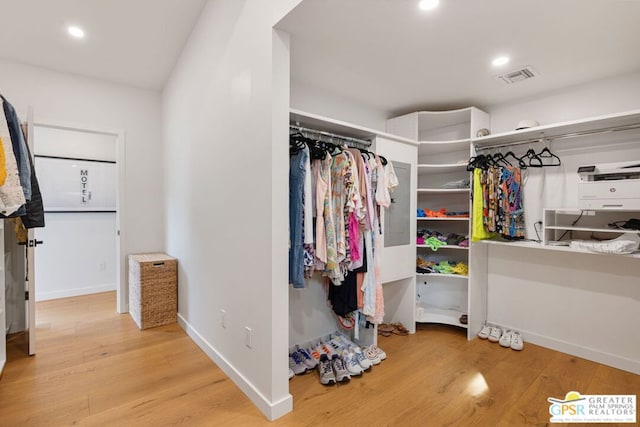 spacious closet featuring wood-type flooring