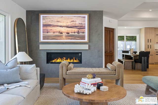 living room with a fireplace and light hardwood / wood-style flooring