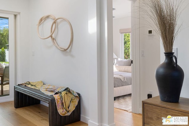 interior space featuring plenty of natural light and light wood-type flooring