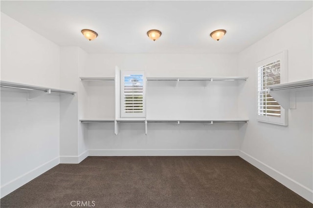 walk in closet with dark colored carpet