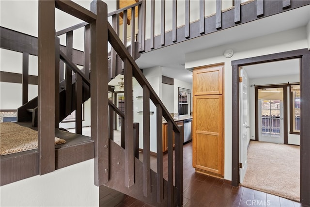 stairway with hardwood / wood-style floors