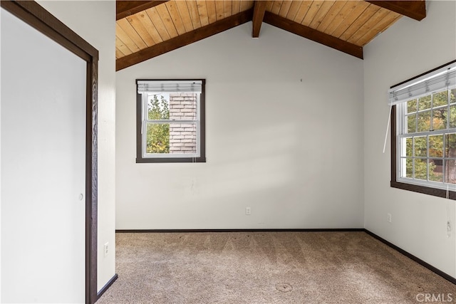 empty room with wood ceiling, carpet, and a wealth of natural light