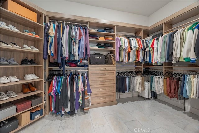 view of spacious closet