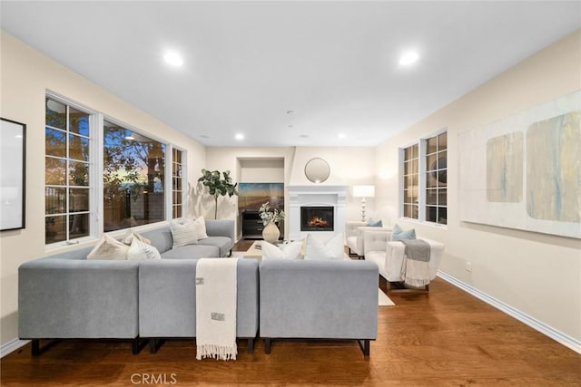 living room with hardwood / wood-style floors