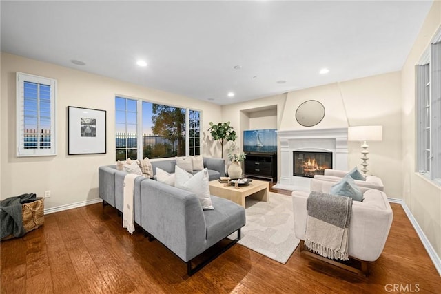 living room featuring wood-type flooring and a large fireplace