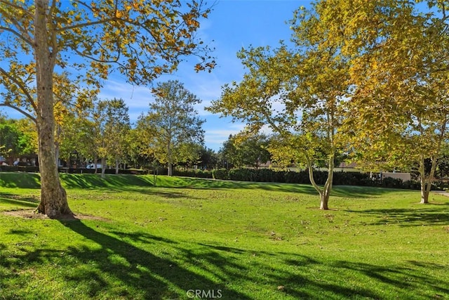 view of property's community featuring a yard