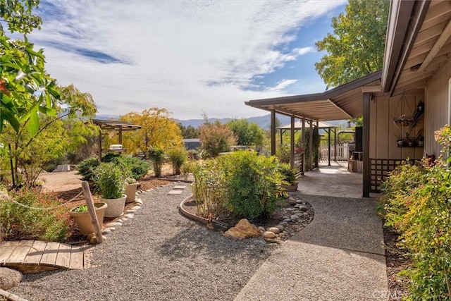 view of yard with a patio area