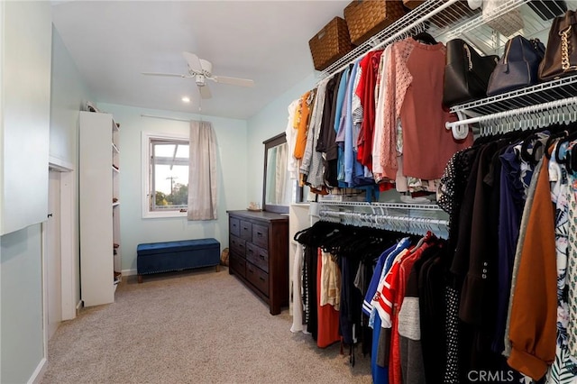 walk in closet with ceiling fan and light colored carpet