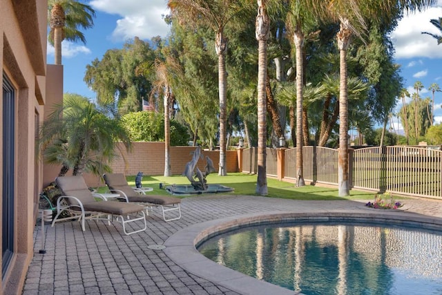 view of pool featuring a patio area and a lawn