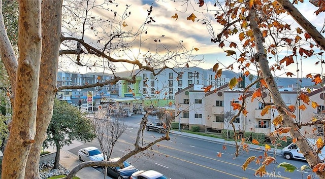 460 Oak St Unit 201, Glendale, CA 91204 - view of building exterior