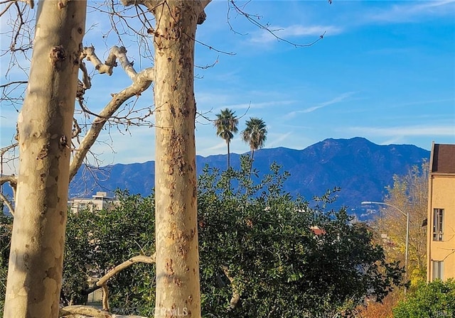 460 Oak St Unit 201, Glendale, CA 91204 - view of mountain background