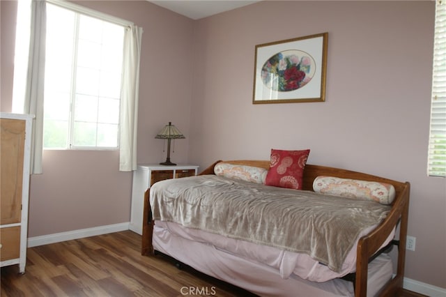 bedroom featuring multiple windows and wood-type flooring