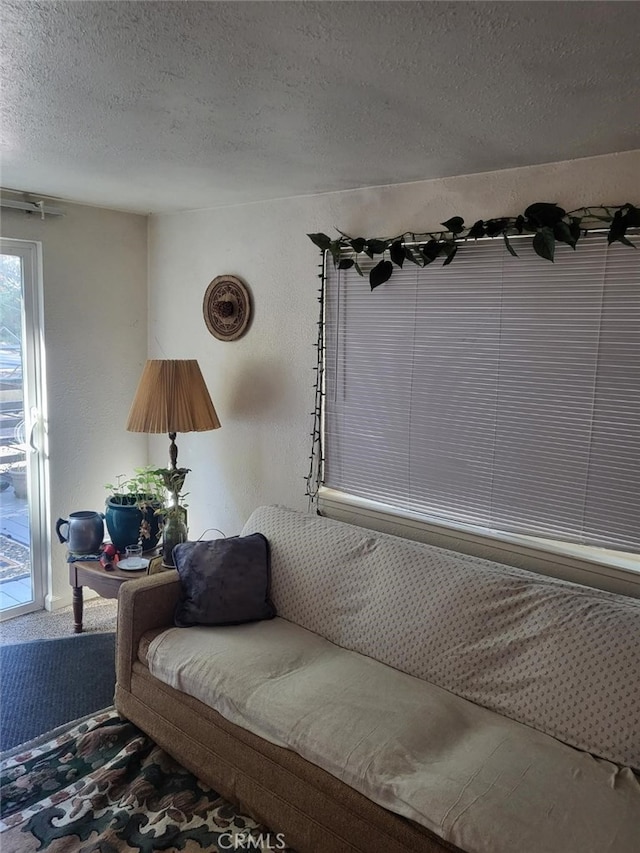 living area with carpet flooring and a textured ceiling