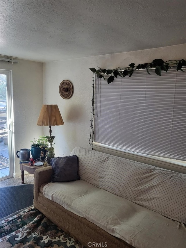 17010 State Highway 175, Cobb, CA 95461 - sitting room featuring a textured ceiling, carpet flooring, and a textured wall