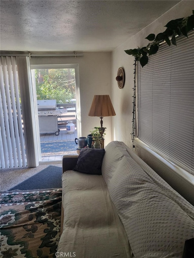 carpeted bedroom with access to exterior and a textured ceiling