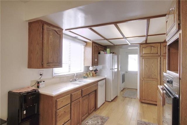 kitchen with light wood-type flooring, sink, and white appliances