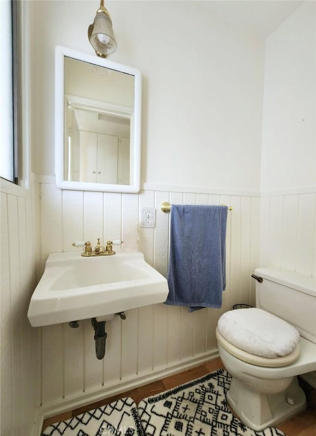 bathroom with wood-type flooring, toilet, and sink