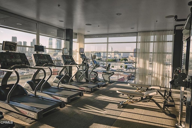 exercise room featuring a wealth of natural light