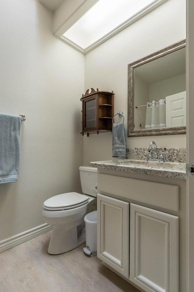 bathroom with toilet and vanity