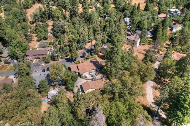 23167 Brookside Rd, Crestline, CA 92325 - photo 10