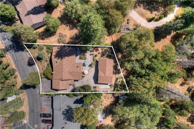 23167 Brookside Rd, Crestline, CA 92325 - photo 45