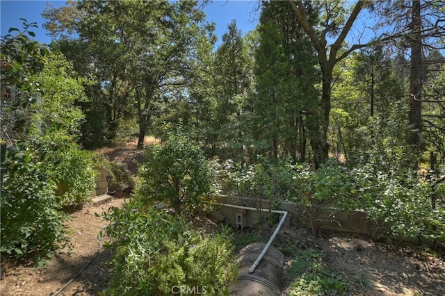 23167 Brookside Rd, Crestline, CA 92325 - photo 37