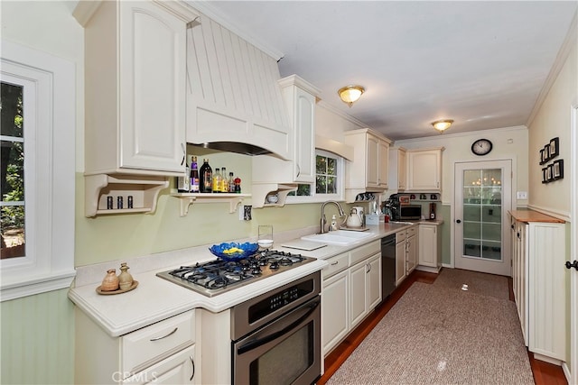 kitchen with crown molding, appliances with stainless steel finishes, sink, and premium range hood