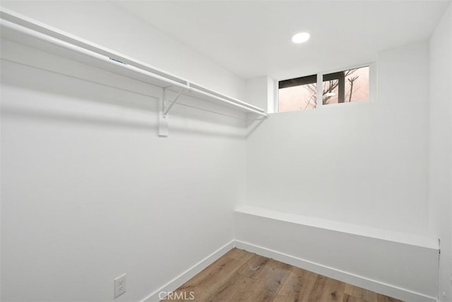 spacious closet with wood-type flooring