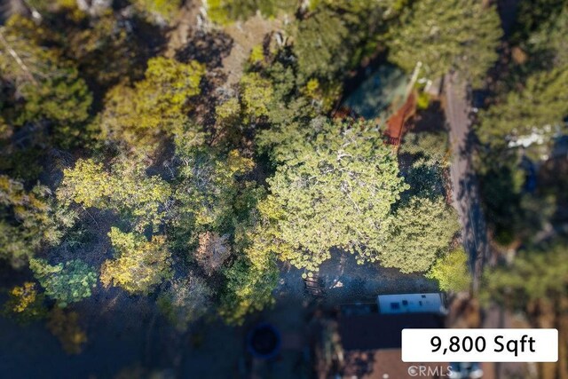 1127 Twin Lakes Dr, Wrightwood, CA 92397