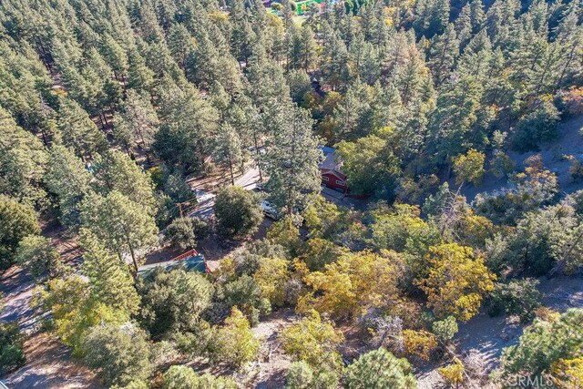 1127 Twin Lakes Dr, Wrightwood, CA 92397
