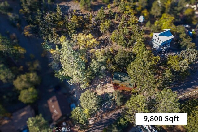 1127 Twin Lakes Dr, Wrightwood, CA 92397