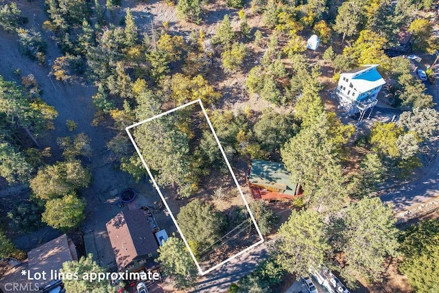 1127 Twin Lakes Dr, Wrightwood, CA 92397